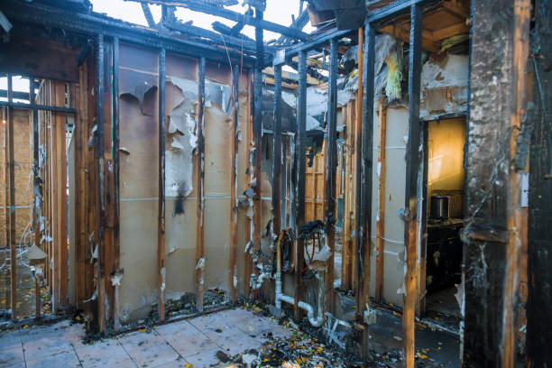 Professional Smoke Damage Removal technician working in Jordan, NY